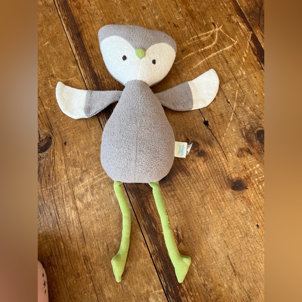 Hazel Village owl